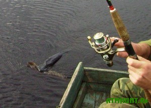24-marta-pod-belgorodskom-projdet-turnir-po-lovle-xishhnoj-ryby