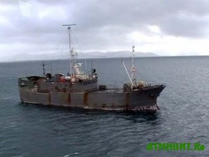V Kerchi brakon'ery vylovili 28 tonn ryby