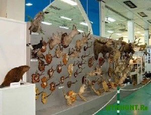 V Kazani otkrylas' specializirovannaja vystavka dlja rybolovov i ohotnikov
