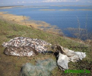 inspektory-rybooxrany-mariupolya-prodolzhayut-borbu-s-brakonerstvom