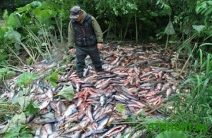 Mariupol'skie brakon'ery za nepolnyj mesjac vylovili 6 tonn ryby