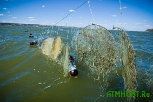 Iskusstvennye nerestilishha pomogli uvelichit' rybnye zapasy Ukrainy