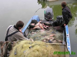 Ukrainskie rybnye brakon'ery razorili stranu na 129 tys. griven