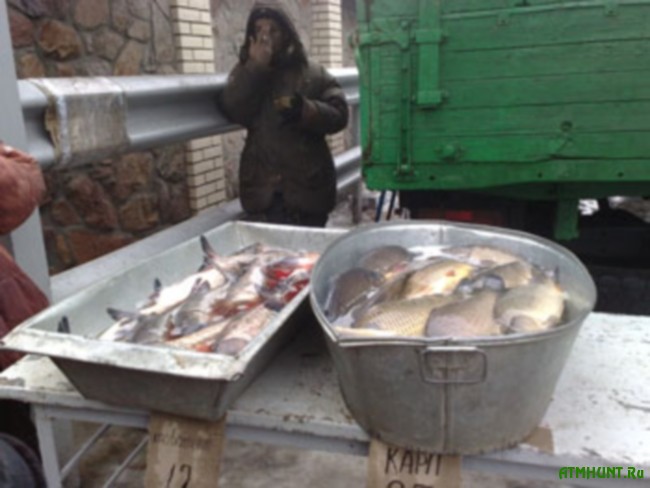 prodazha ryby