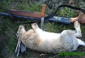 V ukrainskom lesu zaderzhali brakon'era s tremja zajcami-rusakami