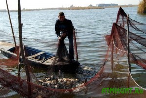 Brakon'er vylovil iz Azovskogo morja 19 kilogramm ryby
