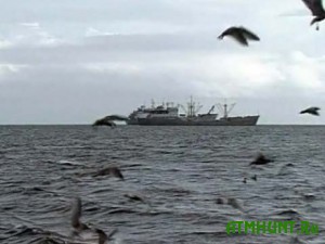 Odesskie pogranichniki vygnali iz Chernogo morja tureckih brakon'erov