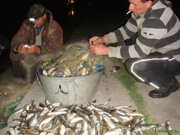 Za odnu noch' hersonskie brakon'ery nalovili ryby na 200 tys. griven