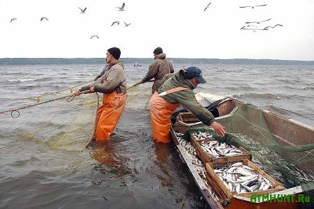 Polovina rybnogo promysla Ukrainy nahoditsja  teni