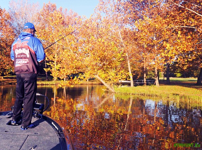 Осенняя ловля на поплавочную удочку: наживки и прикормка