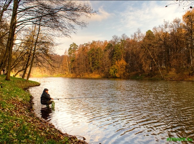 Осенняя ловля на поплавочную удочку: выбор снасти
