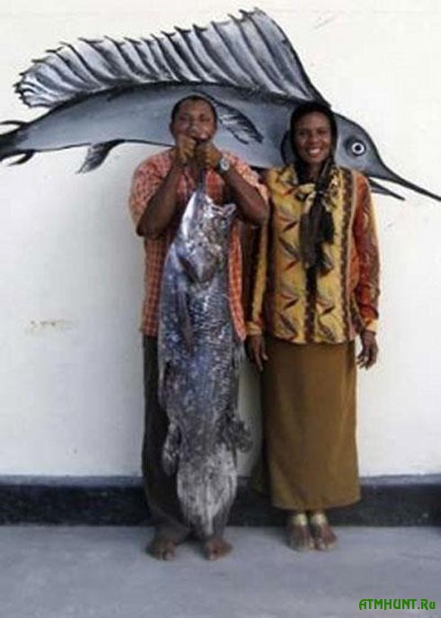 V Indonezii rybaku v seti popalas' iskopaemaja ryba celakant (foto) 1
