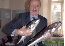 V Sevastopole pojmali jadovityh ryb fugu